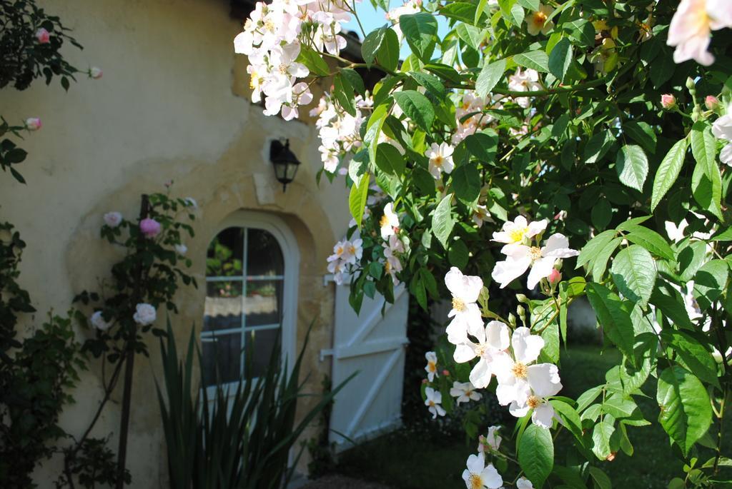 Bed and Breakfast Domaine de Plisseau à Gauriac Extérieur photo
